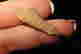 item-131058402=4