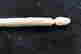 item-131058407=6