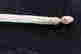item-131058424=4