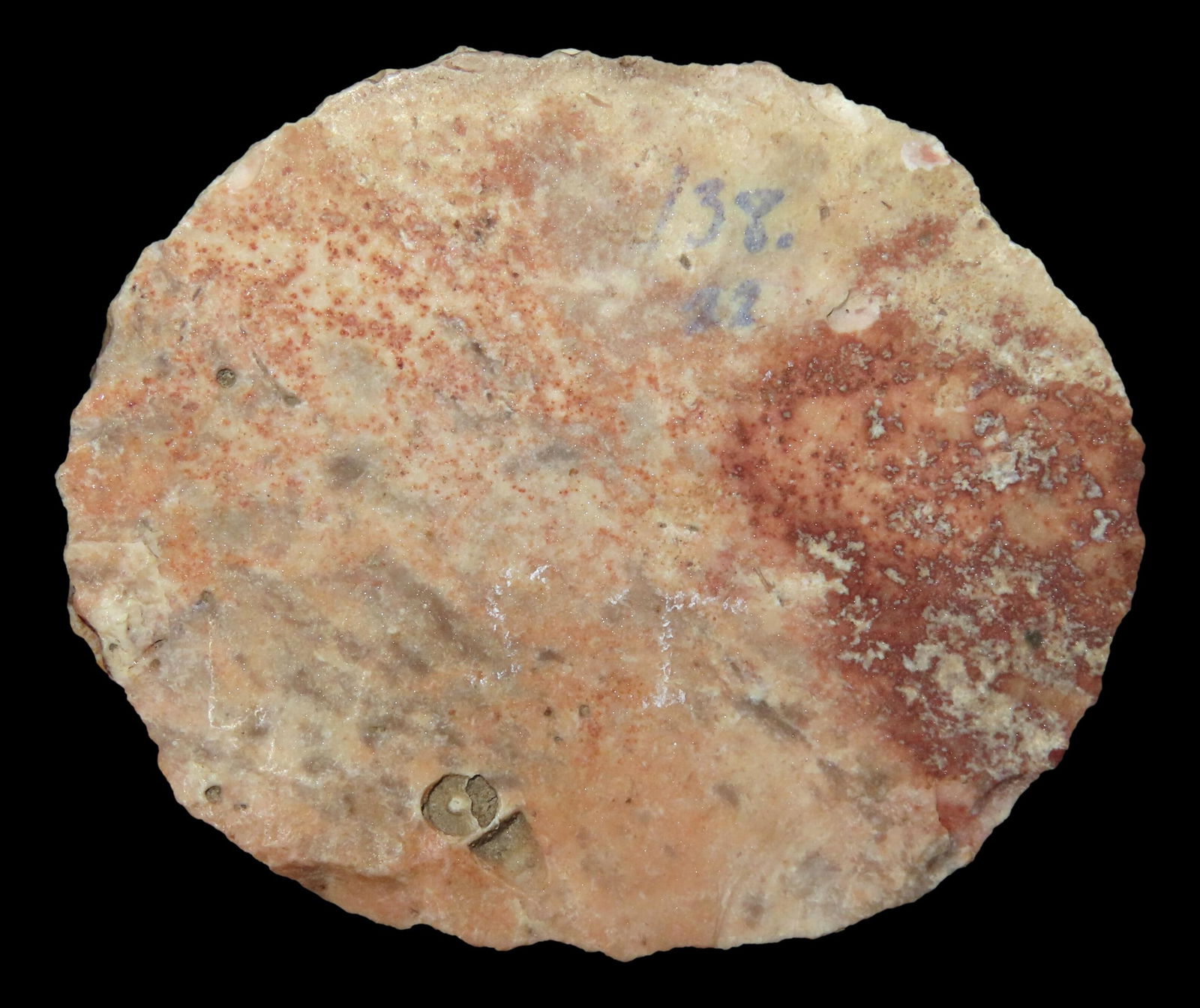 2 3/8" Sun Disc Uniface, very well made, heat treated burlington. From the Steve McCabe Collection, (1 of 13)