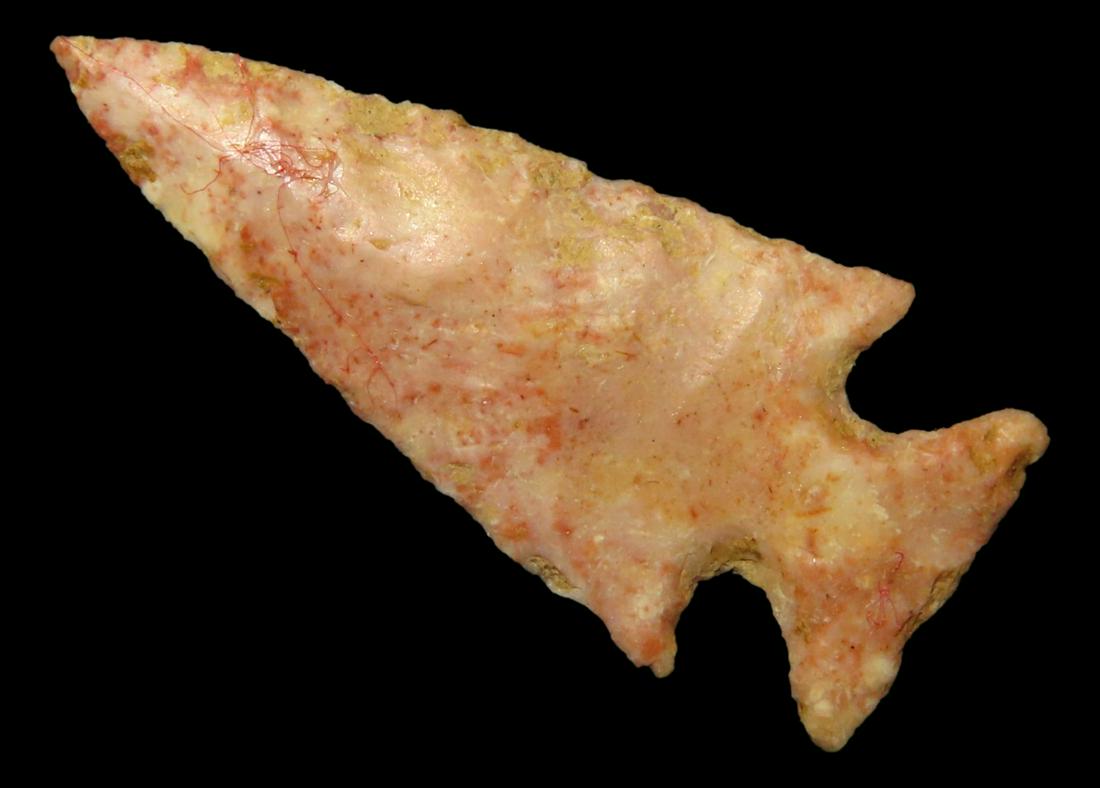 1 1/4" Scallorn. Motley COA. Found in Sullivan County Missouri. Made from Creek Stained Burlington (1 of 4)