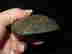 item-134057762=6