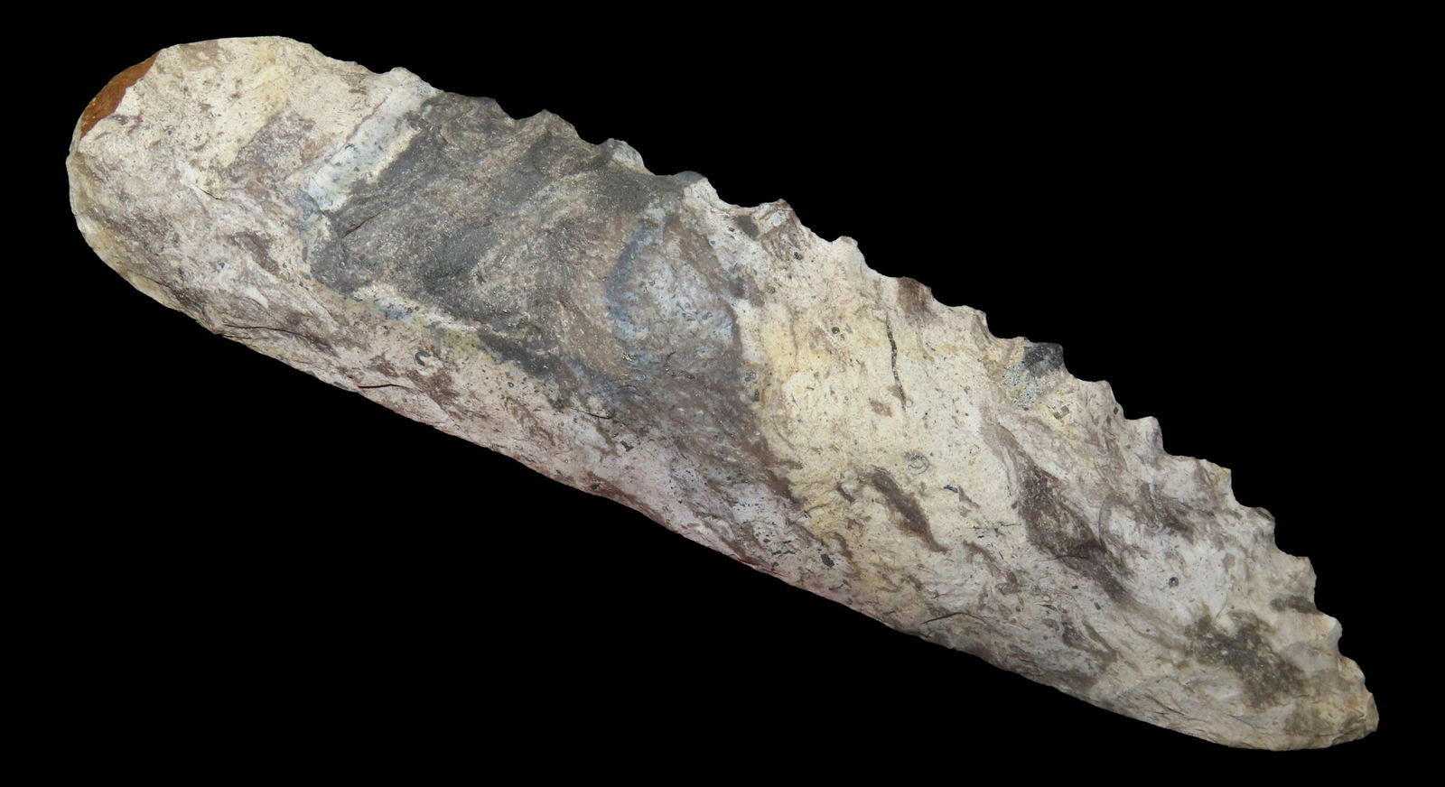 7" x 1 3/4" Sedalia Saw. Motley COA. Benton CO., Missouri. EX Paul Sculley. Made from Burlington (1 of 11)