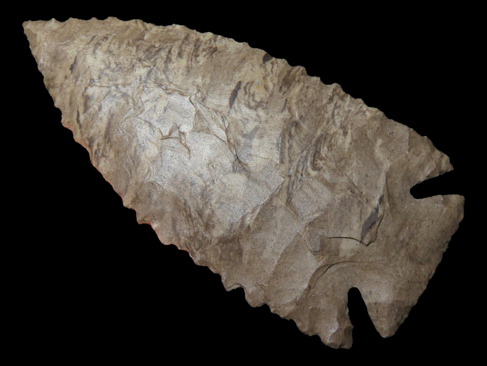 3" x 1 1/2" Pine Tree. Found in Kentucky. Made from Dover Chert. Comes with Motley COA. (1 of 6)