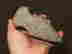 item-134057893=11