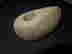 item-134057911=2