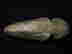 item-134057975=2