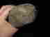 item-134057975=5