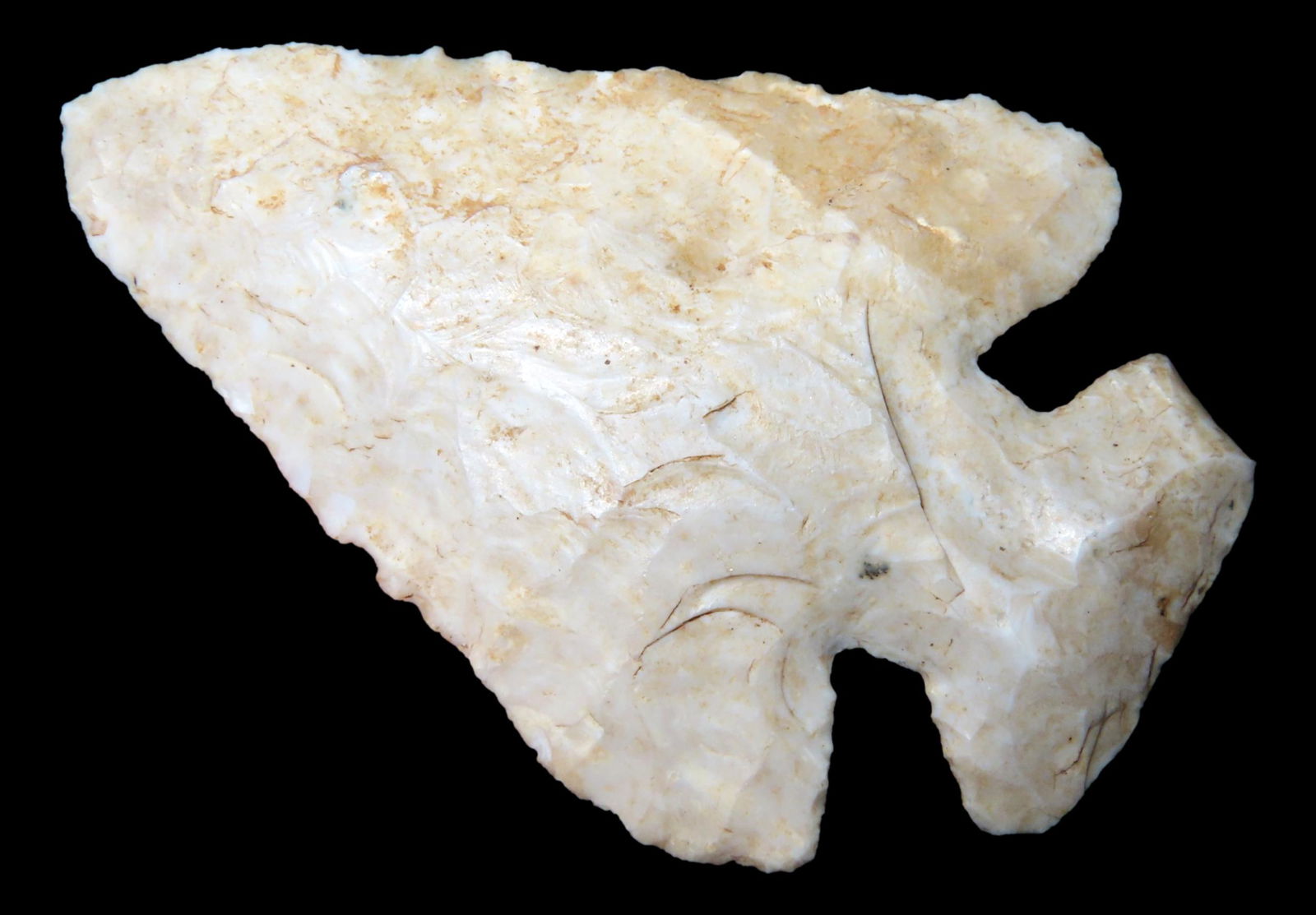 3 1/4" x 2 3/16" Thebes. Rogers COA. Fayette County Illinois. White to Light Gray Burlington Chert. (1 of 8)