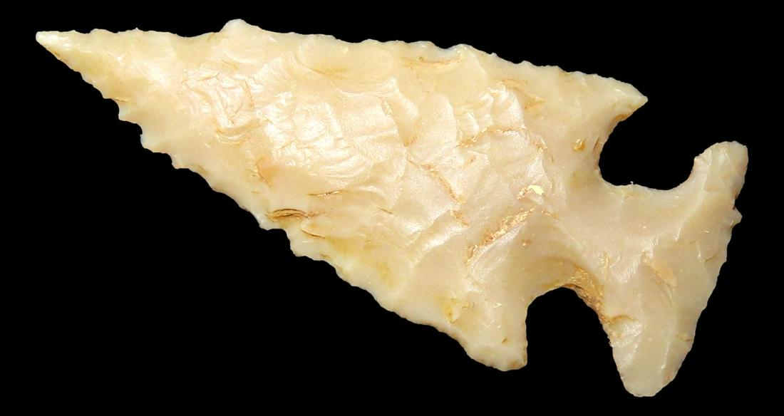 1 5/16" x 5/8" Scallorn (Sattler Variety).  Stermer COA.  Texas.  EX Mitch Lewis Collection. (1 of 8)