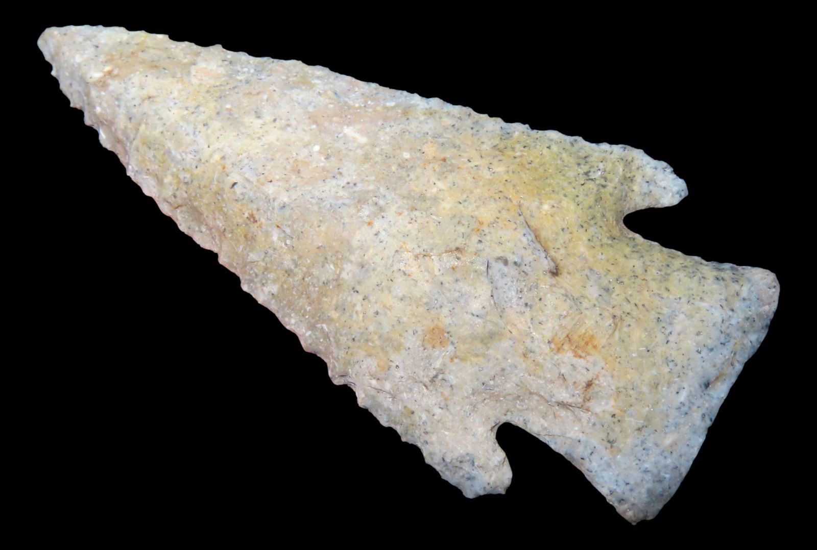 3 1/8 "  x  1  5/16"  Hardin  Motley, COA.  Found in Hancock Co., IL  Burlington chert. (1 of 5)