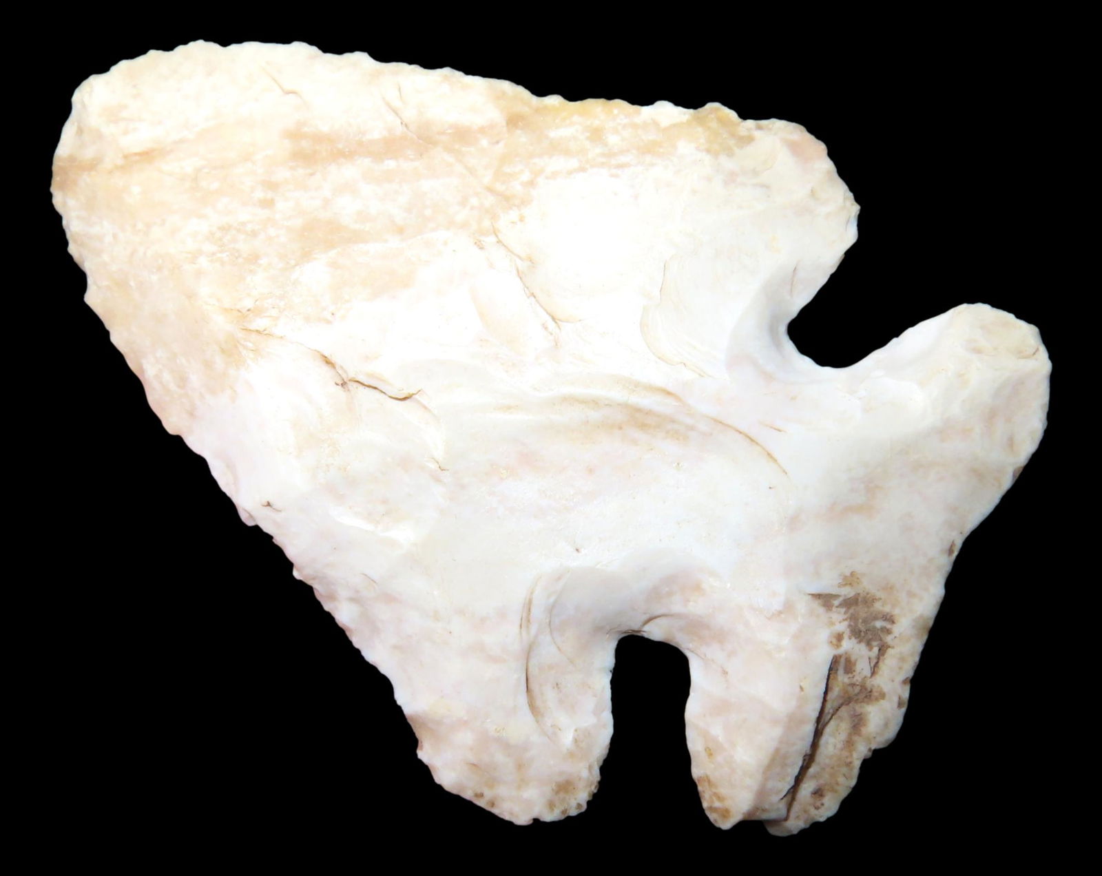 2  7/8 " x  2   Thebes.  Jerry Dicky, COA. Will County, Illinois.  Graham Cave.  Burlington Chert (1 of 6)