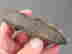 item-134058087=15