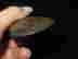 item-134058087=7