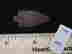 item-134058125=4