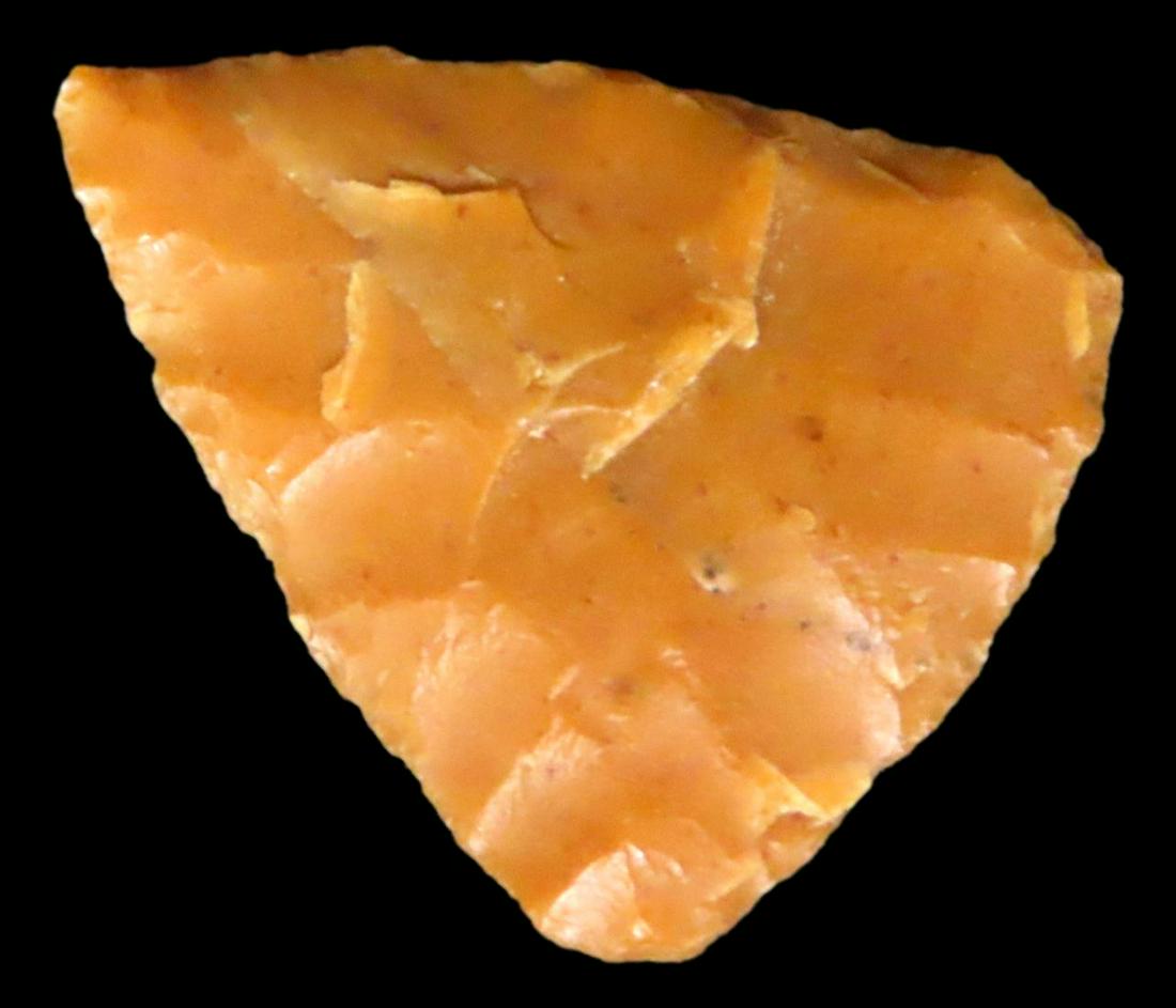 15/16" War Point. Found in Natora CO., WY. North Platte River Near Casper, WY (1 of 5)