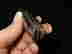 item-134058226=10