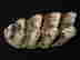 item-134058328=2