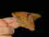 item-134058333=2