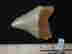 item-134058333=5
