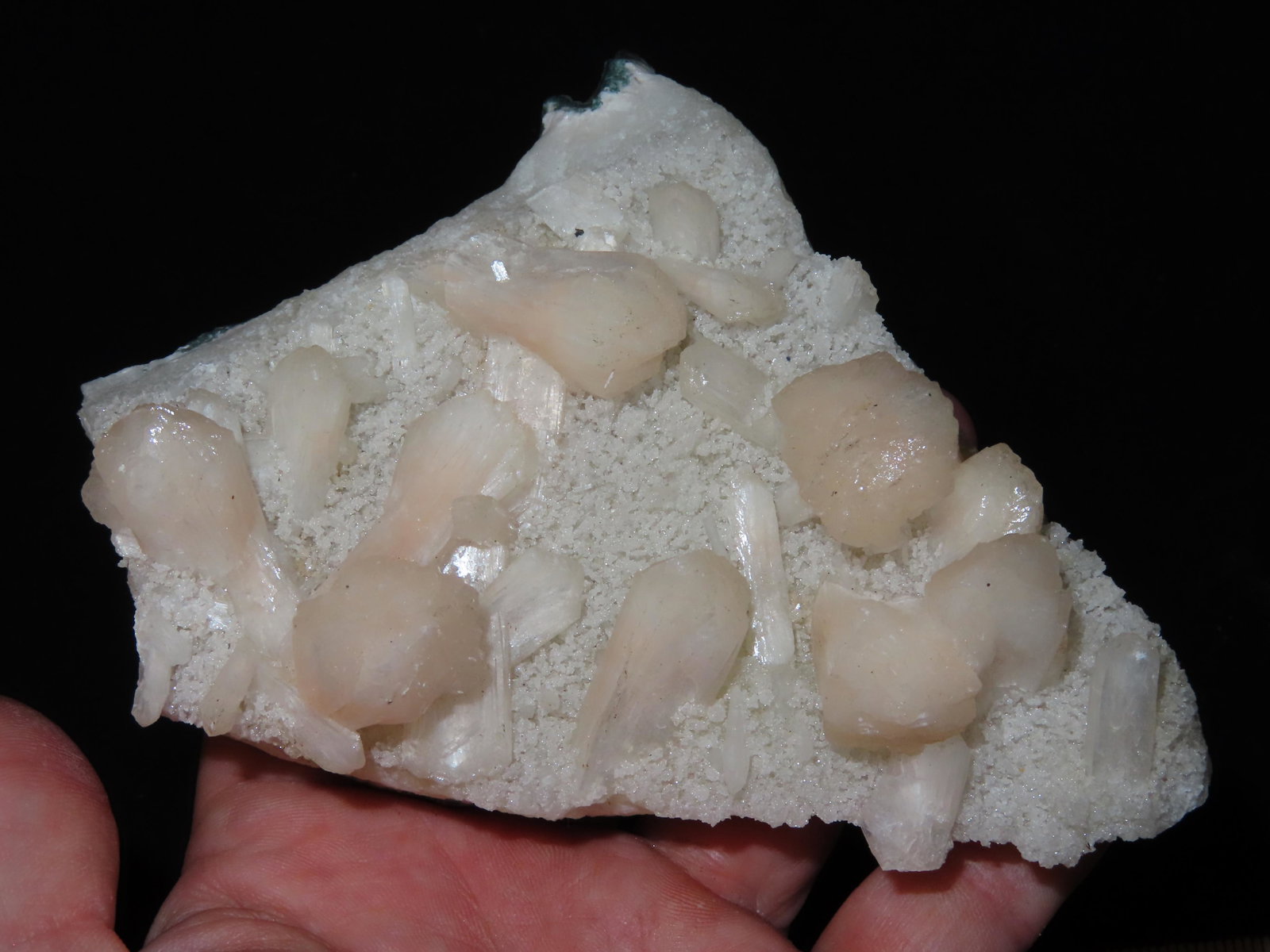 5 1/8" Chrysoberyl: 5 1/8" Chrysoberyl