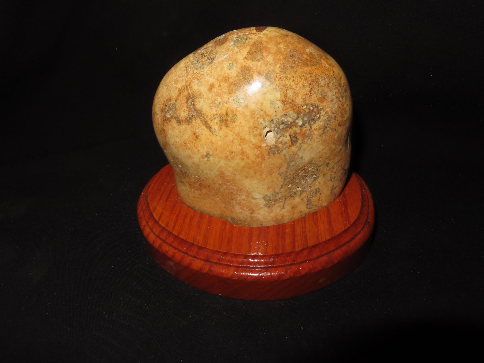 4 5/8" Polished Petoskey Stone- Coral Fossil on stand (1 of 3)