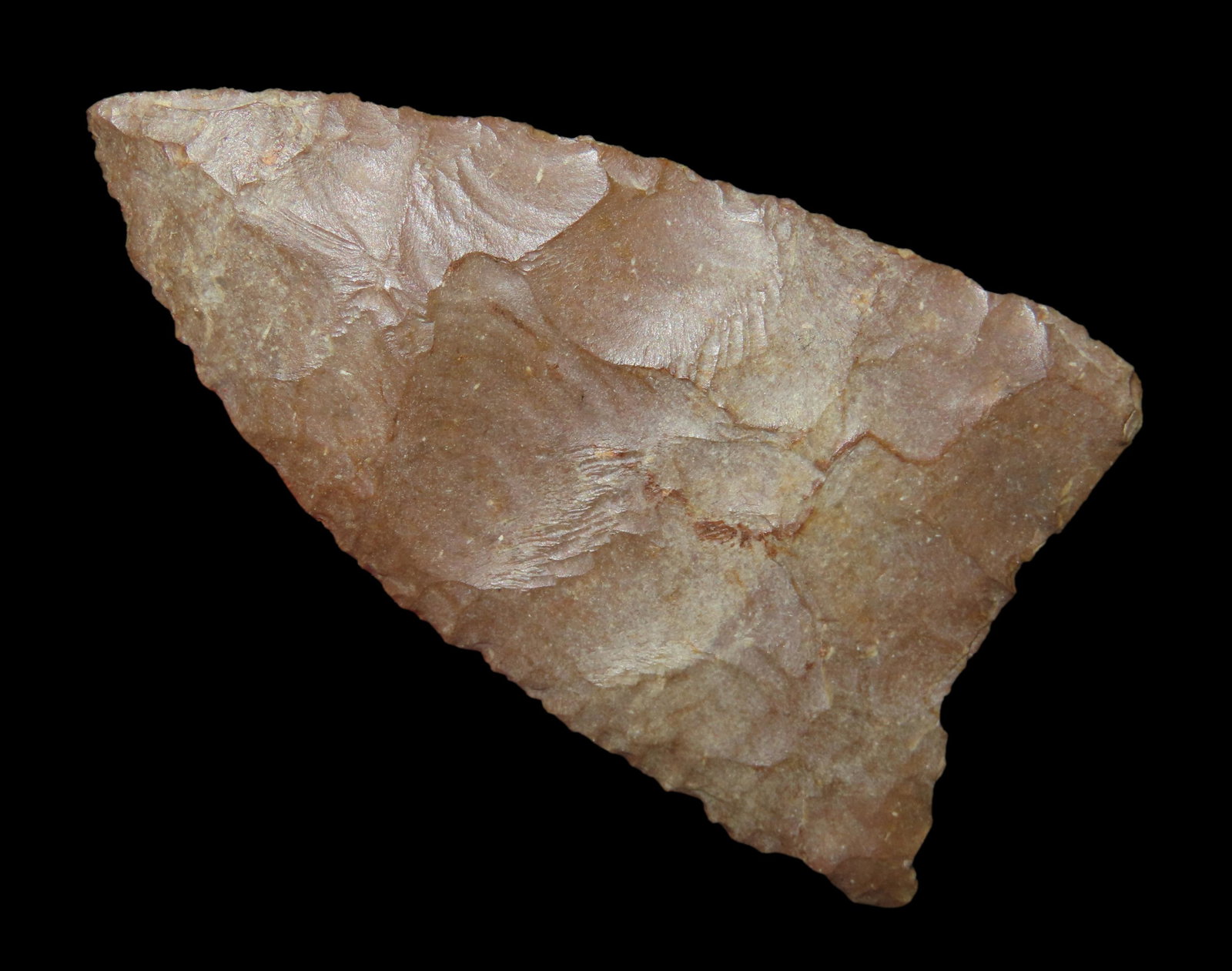 2 1/2" Meserve very thin and well made found in Eastern Colorado (1 of 7)