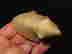 item-137010579=10