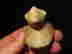 item-137010579=11