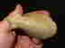 item-137010579=13