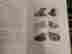 item-137010579=15