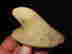 item-137010579=2