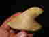 item-137010579=5