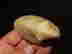 item-137010579=6