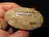 item-137010579=8