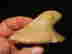item-137010579=9