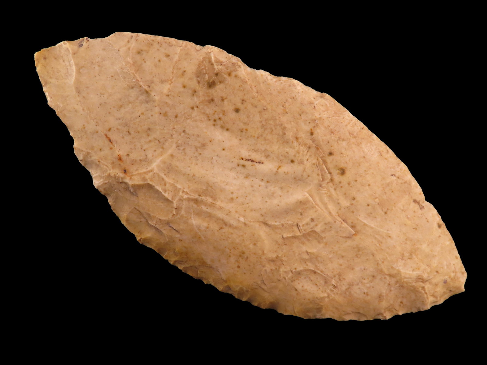 5 1/16" Early Ovoid Paleo Knife, Motley COA, found in Calloway Co Missouri (1 of 9)