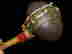 item-137010838=5