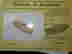 item-137010893=2