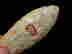 item-137010893=9