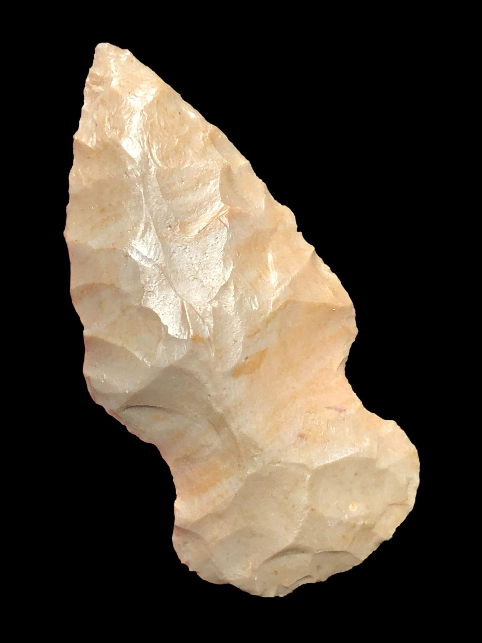 1 3/4" Bird Point- Massac Co. Illinois (1 of 8)