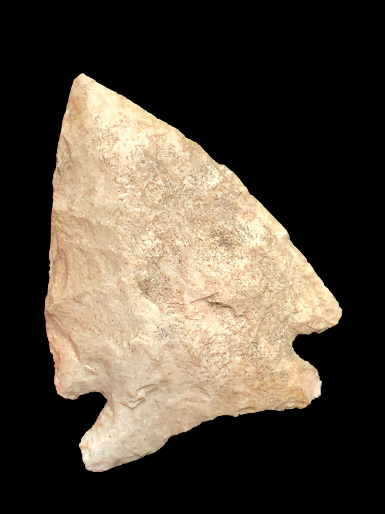 1 3/8" Pine Tree- Southeast Missouri (1 of 8)