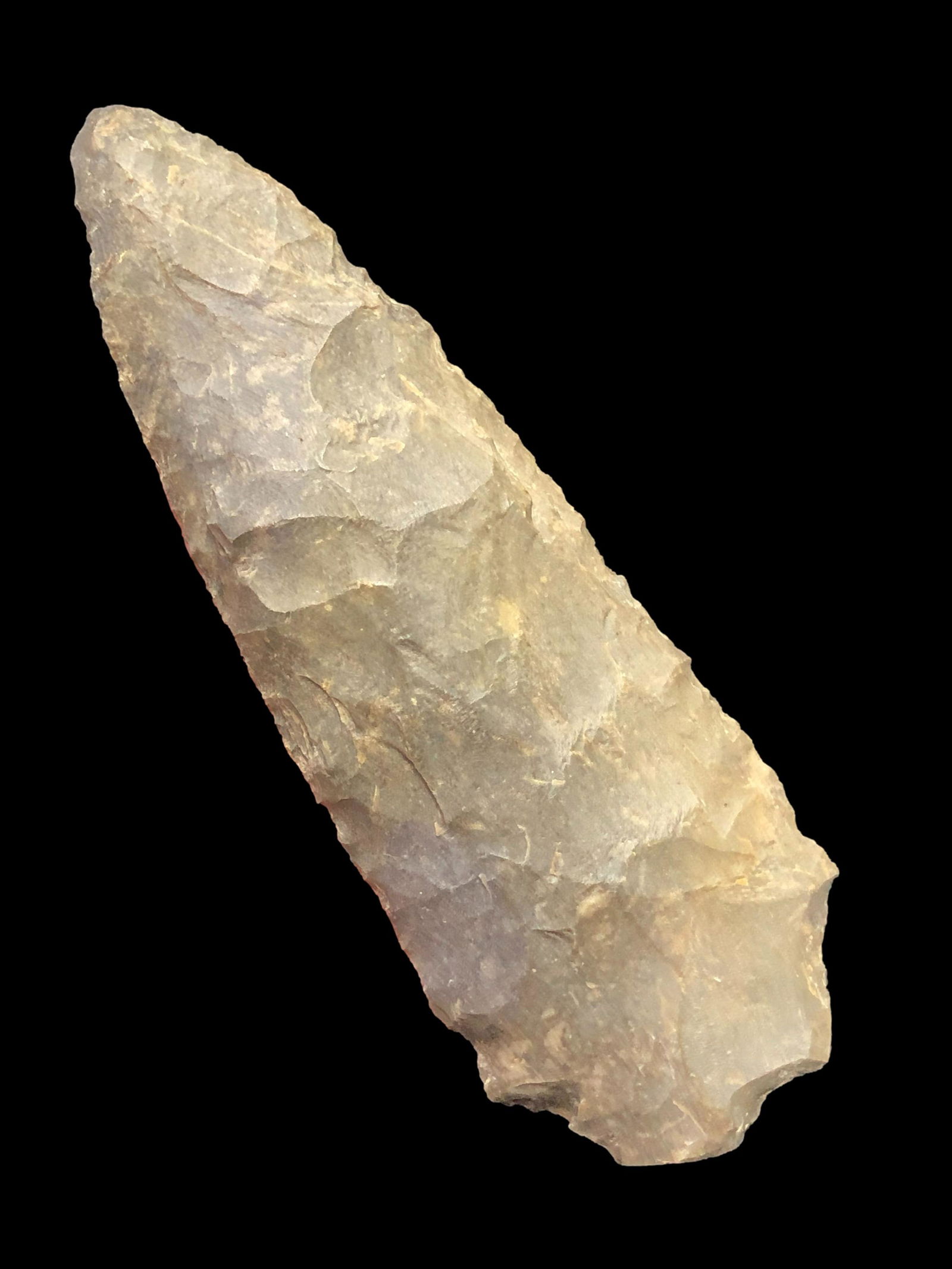 3 1/2" Woodland Point- Lauderdale Co Tennessee (1 of 8)