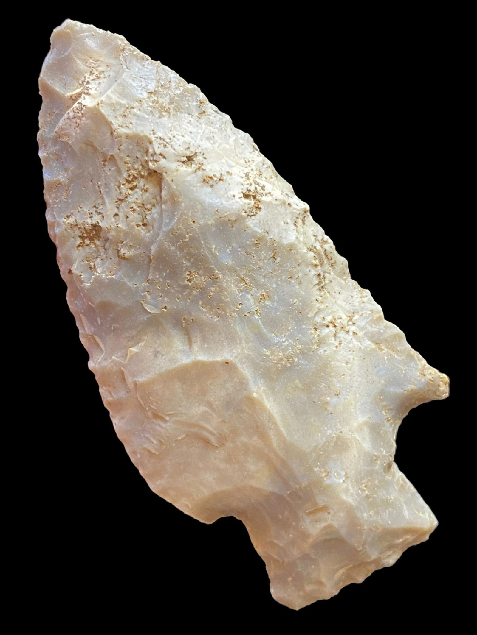 2 5/8'' Pickwick Cocke County Tennessee (1 of 8)