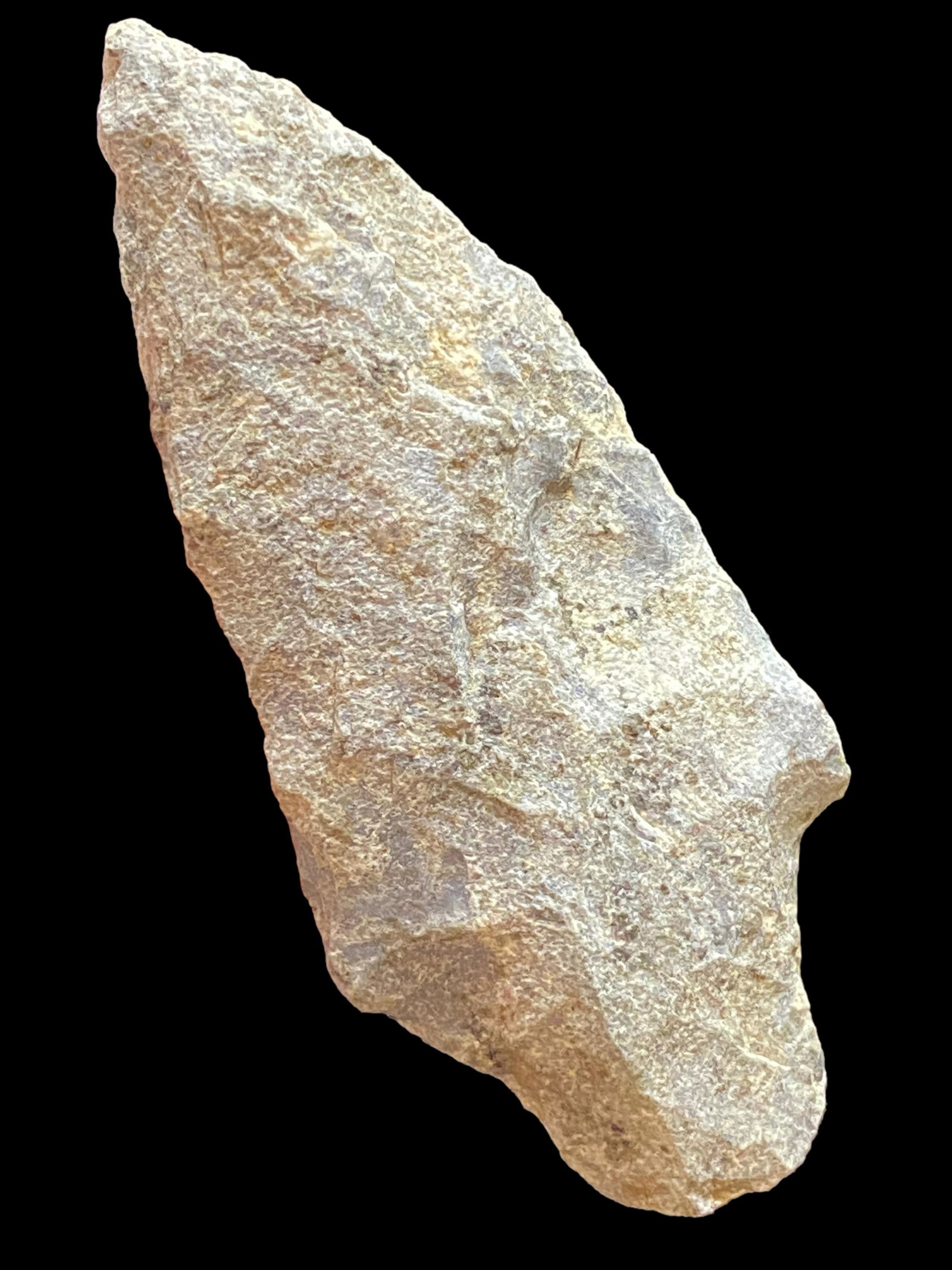 2 7/8'' Adena  Cocke County Tennessee (1 of 8)