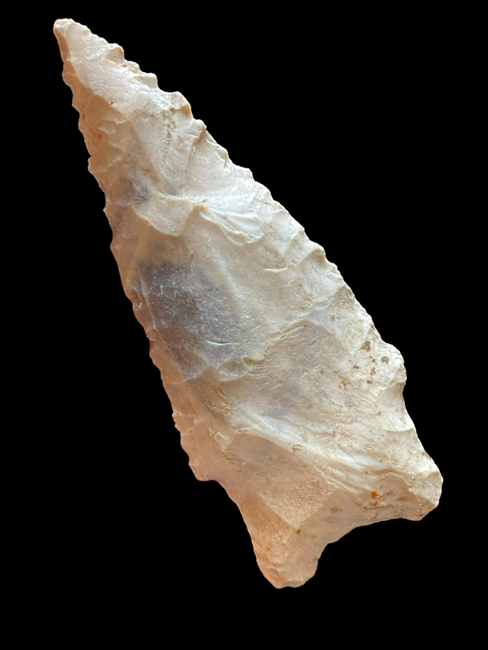 2 1/4'' Stemmed Kirk  Cocke County Tennessee (1 of 8)