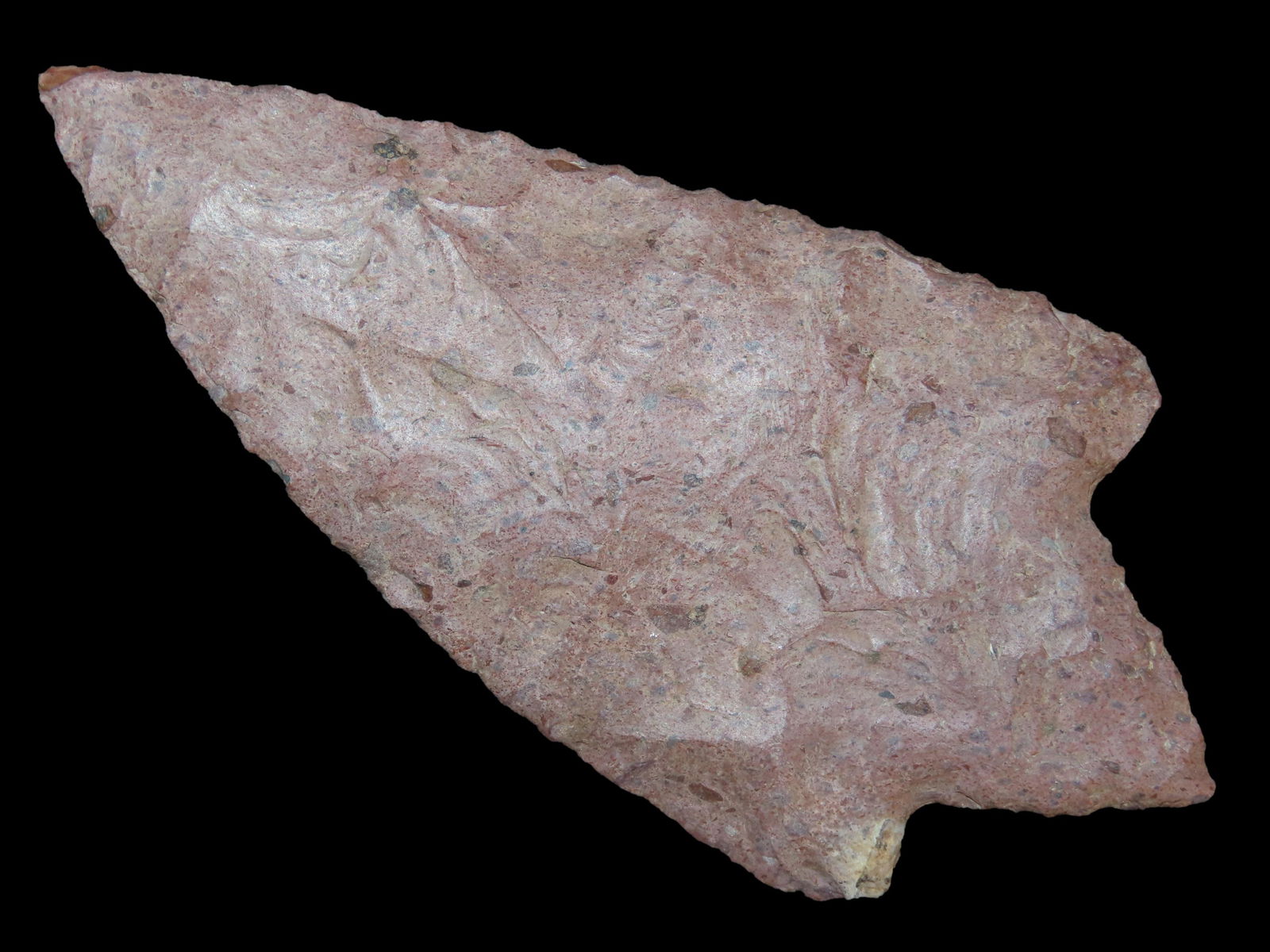 6 5/16" Augustin Chert, Motley COA, Found in Pima Co., Arizona in large cache by Phil Abbinante (1 of 7)
