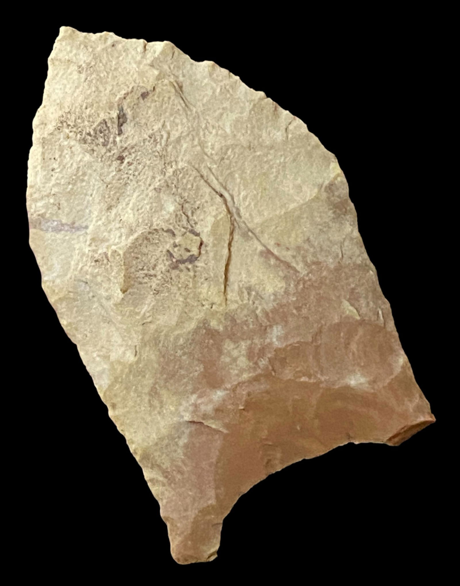 1 13/16" Pelican, Dunklin Co, Missouri, Jim Bennett COA (1 of 9)