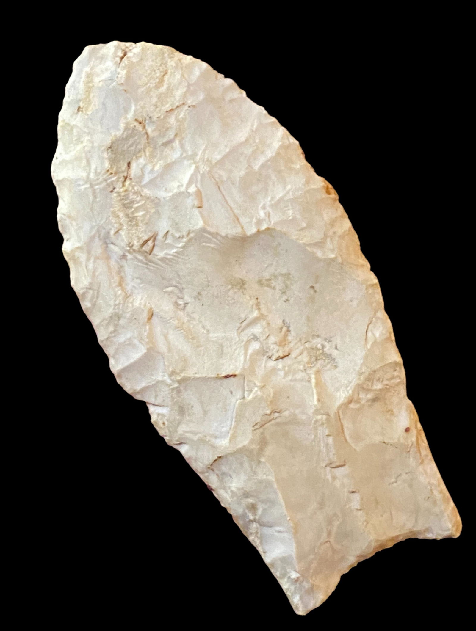 2 7/8" Hazel Clovis found by Chris Perry in Pulaski Co Missouri in 1935- Bennett and Stermer COA (1 of 11)