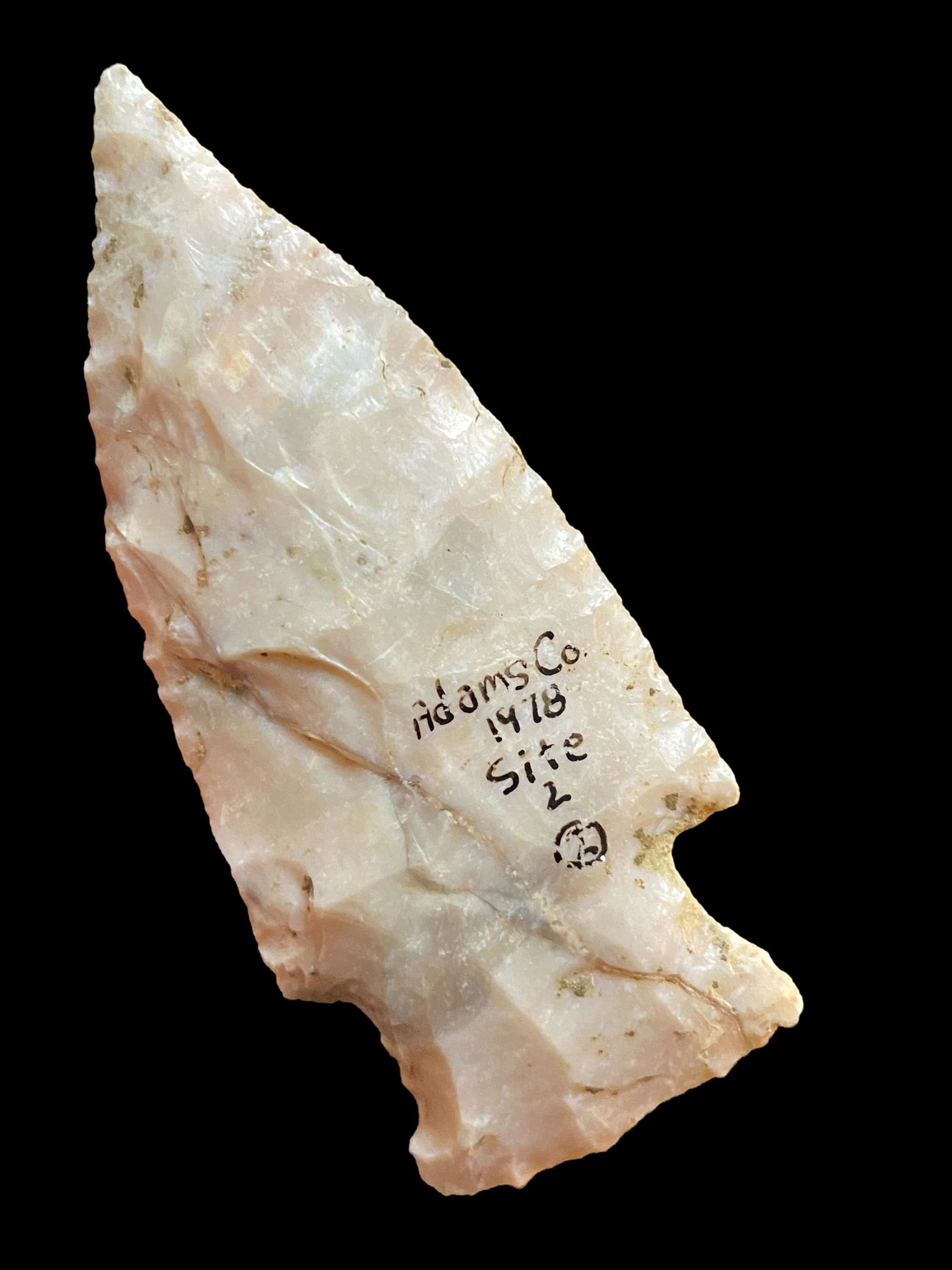 2 5/8" Apple Creek- Ex. Gerald Waters Collection Payson Illinois, in storage since 1980's (1 of 8)